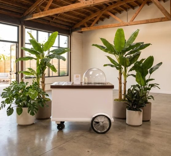 Ice-cream dome cart